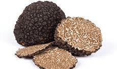 Black Truffle