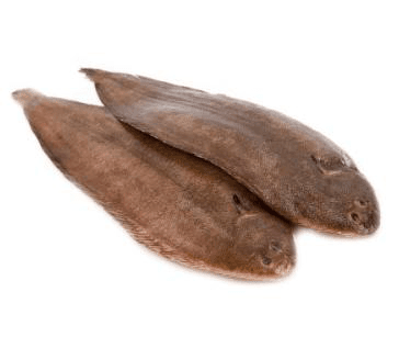Fresh Dover Sole Whole