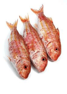 Fresh Red Mullet Whole
