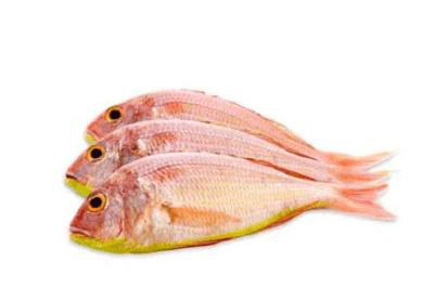 Fresh Sultan Ibrahim Whole