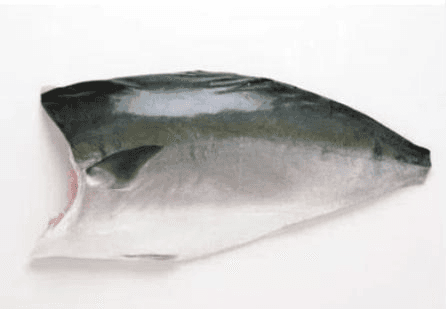 Frozen Hamachi Japan