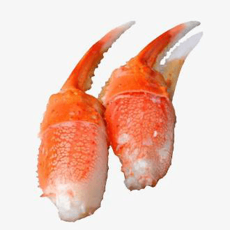 Frozen King Crab Meat Kamchatka — Claw Meat