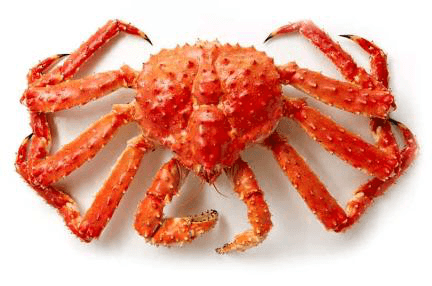 Frozen King Crab Whole