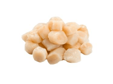 Frozen Scallop Meat