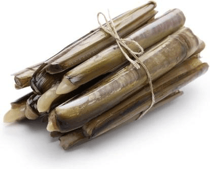 Live Razor Clams