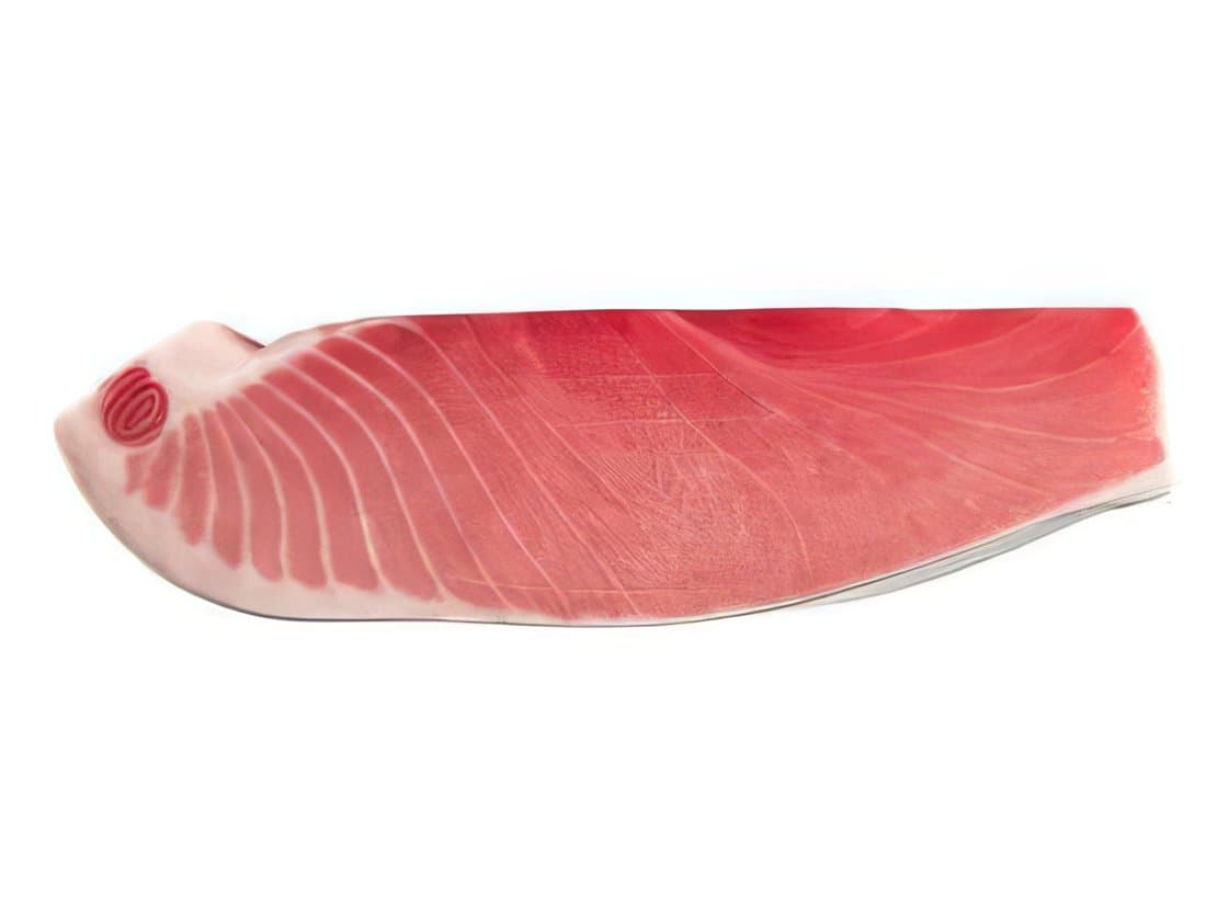 Bluefin otoro