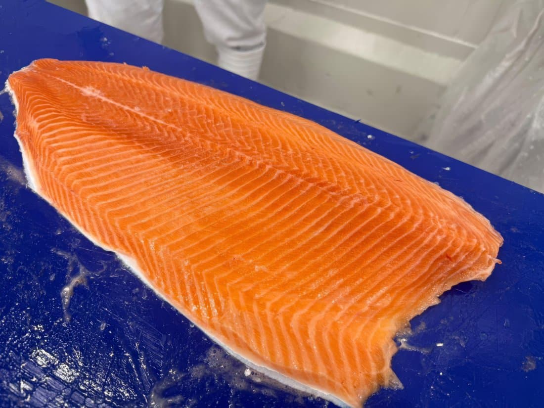 Norwegian salmon fillet